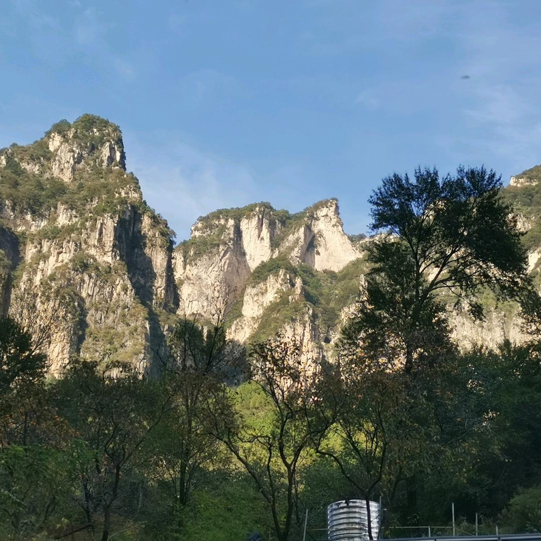 用户391120158605珍惜余生