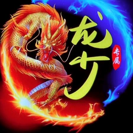 龙少ʘᴗʘ