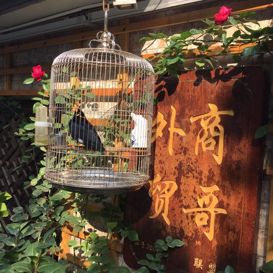 商哥肉串