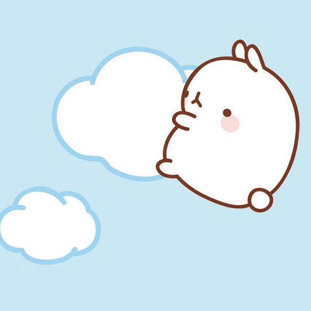 月锦天台鑫宝服饰有限公司内衣专卖店