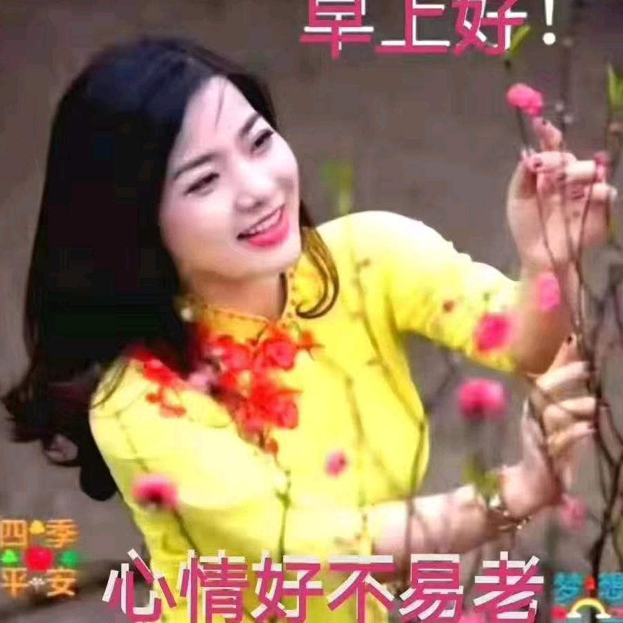 凤凰