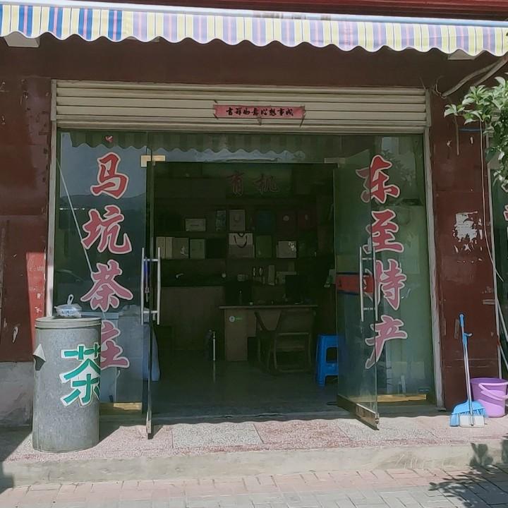 清茶竹叶林