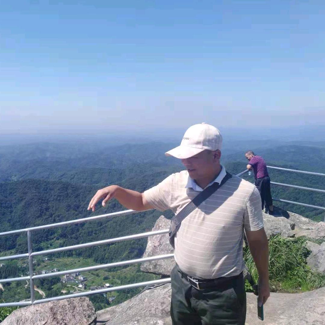 飞为