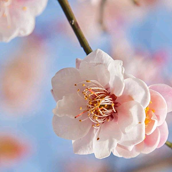 燕子《拒绝私聊》