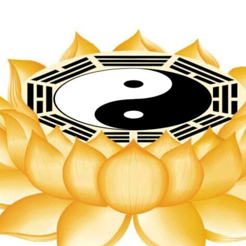 易缘先生
