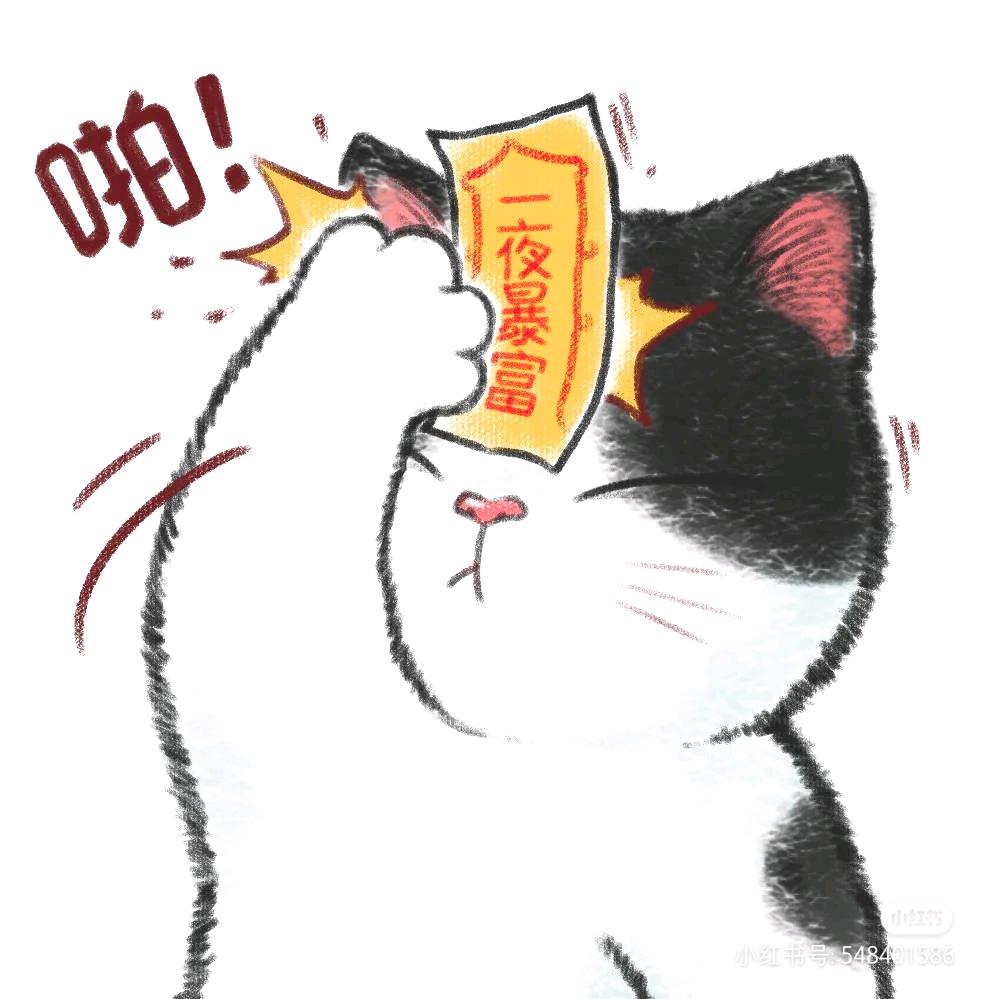 星星⭐噗噗🐱日常