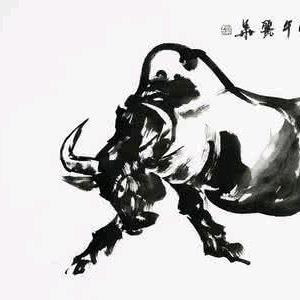 春华秋实