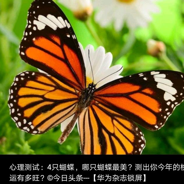梁辽容