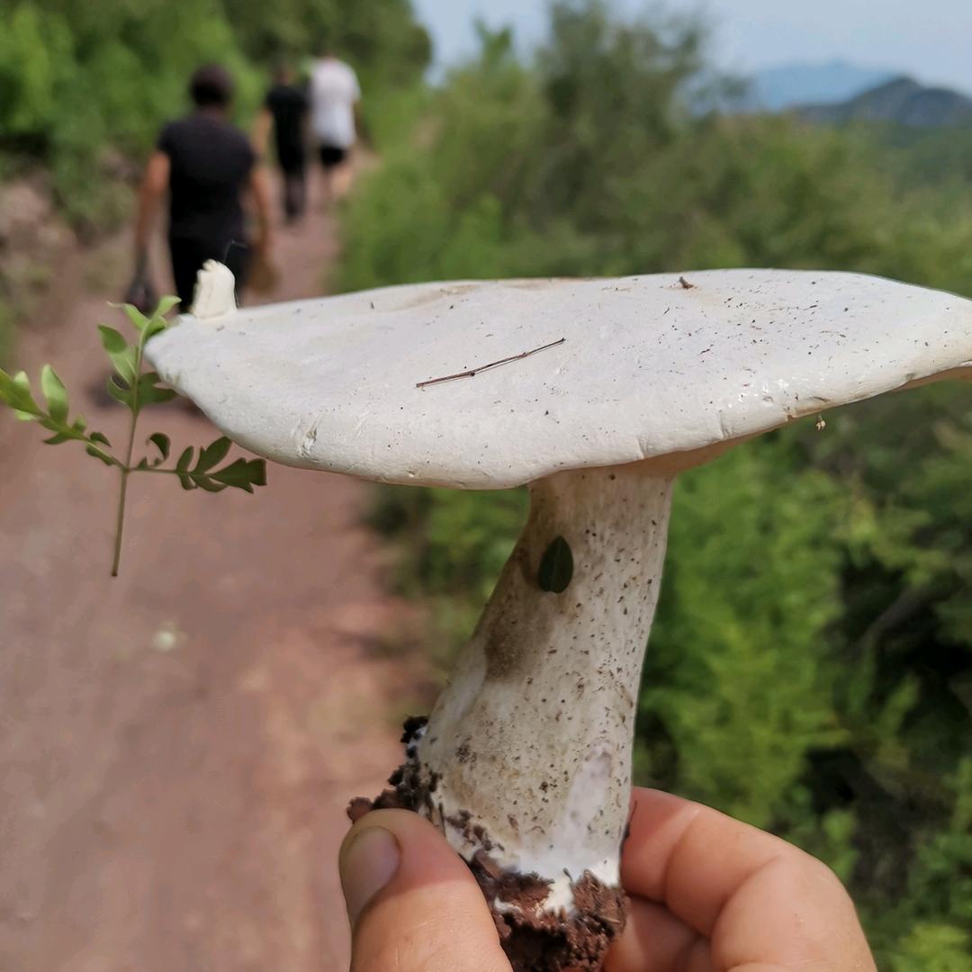 工作员