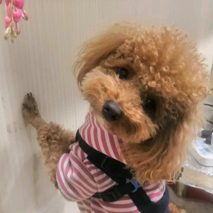 零度