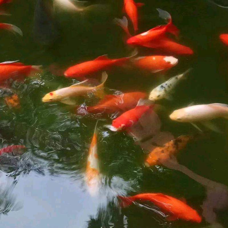 元帅