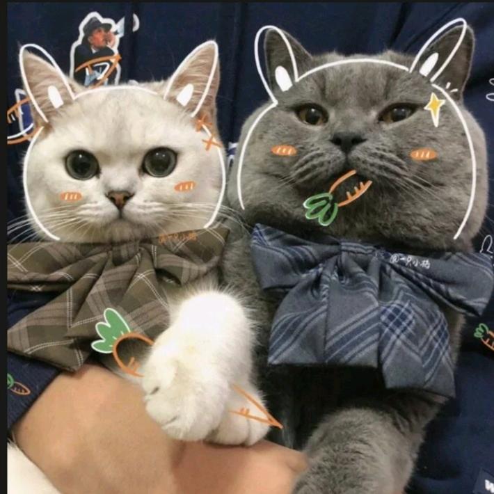 杰杰宝贝～
