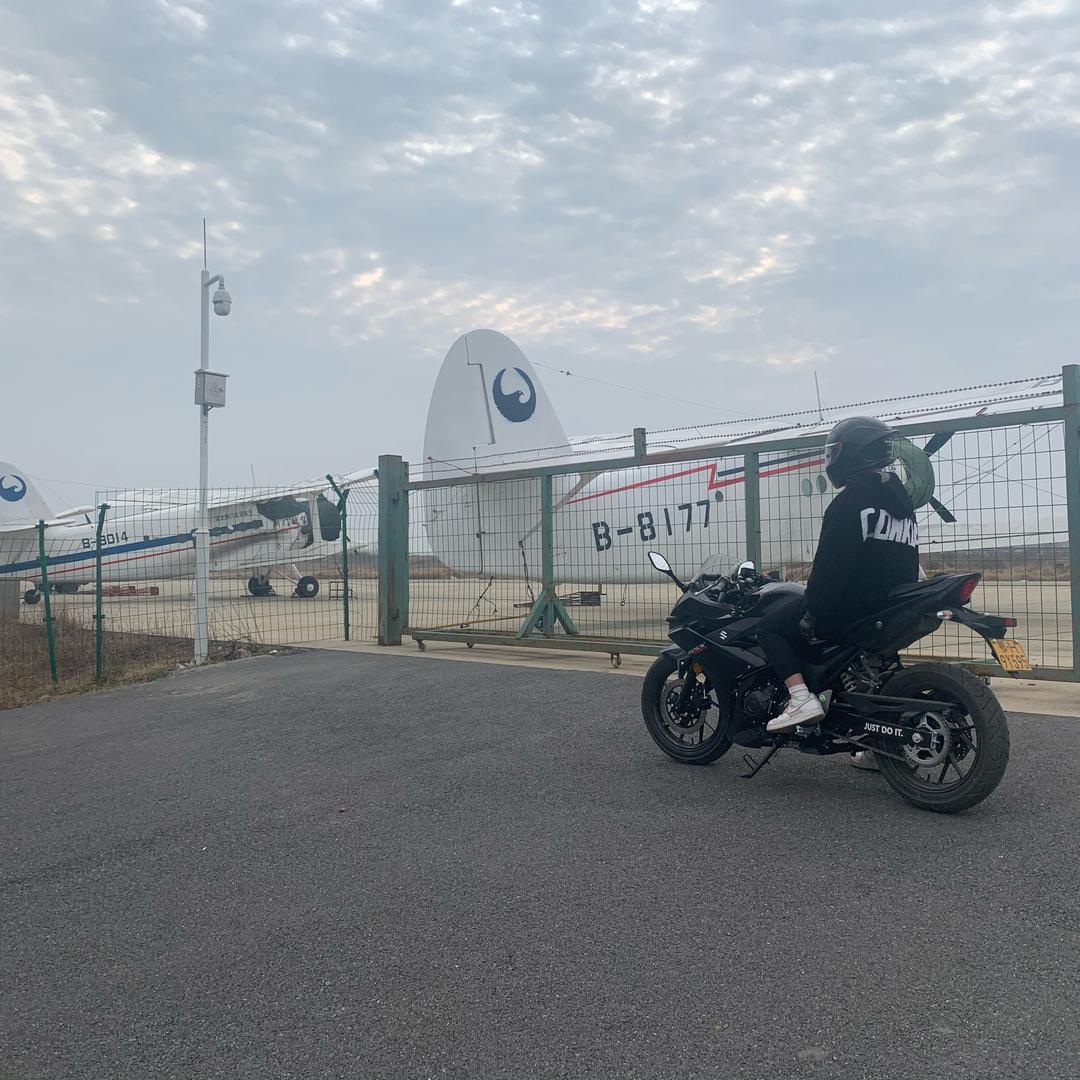 不羁的夏
