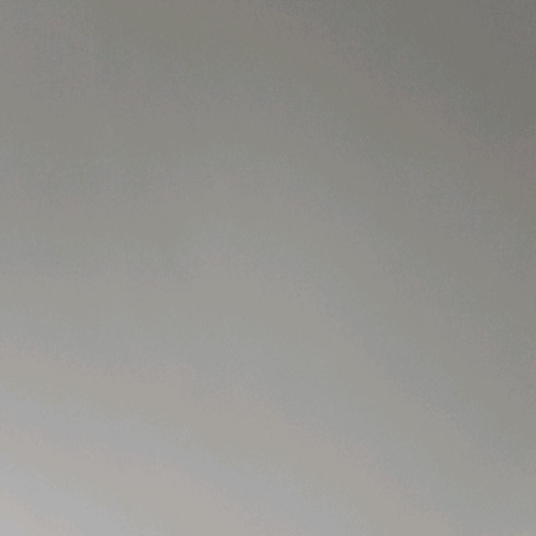 老白