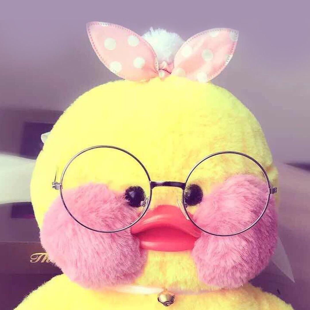 小肥柴呀