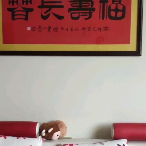 黄山一游