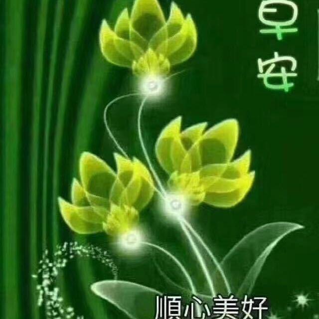 ✨钰✨