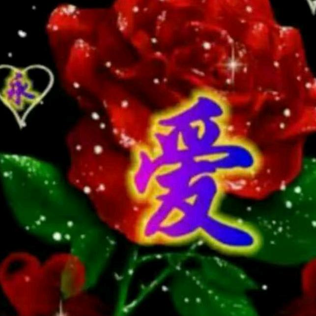 红梅与华仔😀🤝✌🫂💑