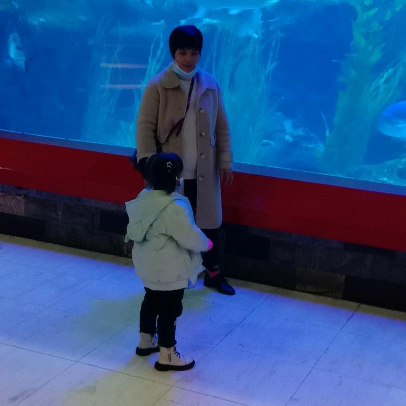 龙龙