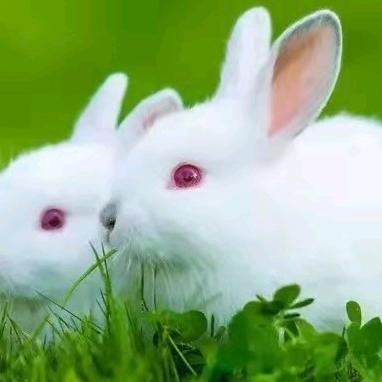 田何华，尊师爱唱山歌的小妹