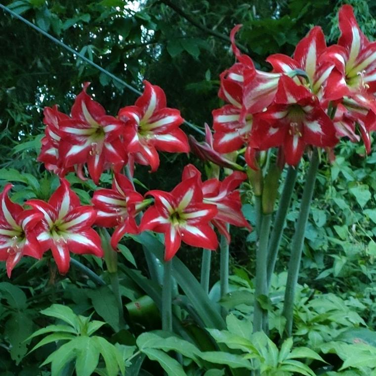 玩泥巴的小老头儿野钓君（战1）