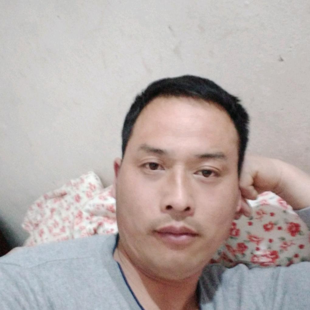 龙