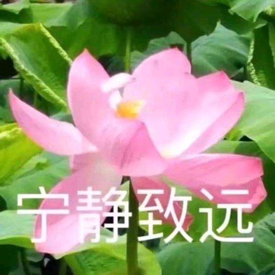 平安是福、