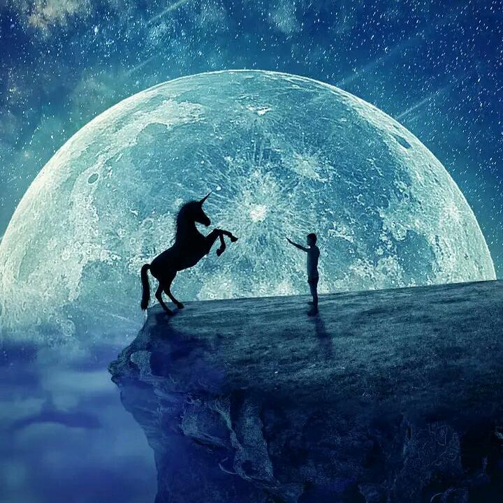 寄语流星