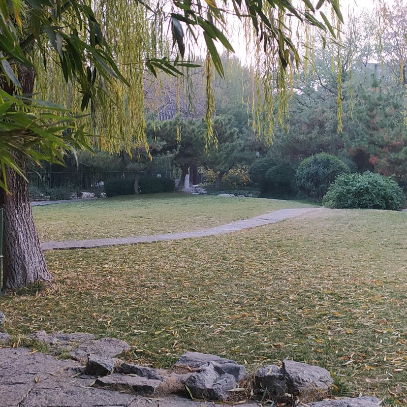 🌈🌈🌈辰🌈🌈🌈🌈🌈