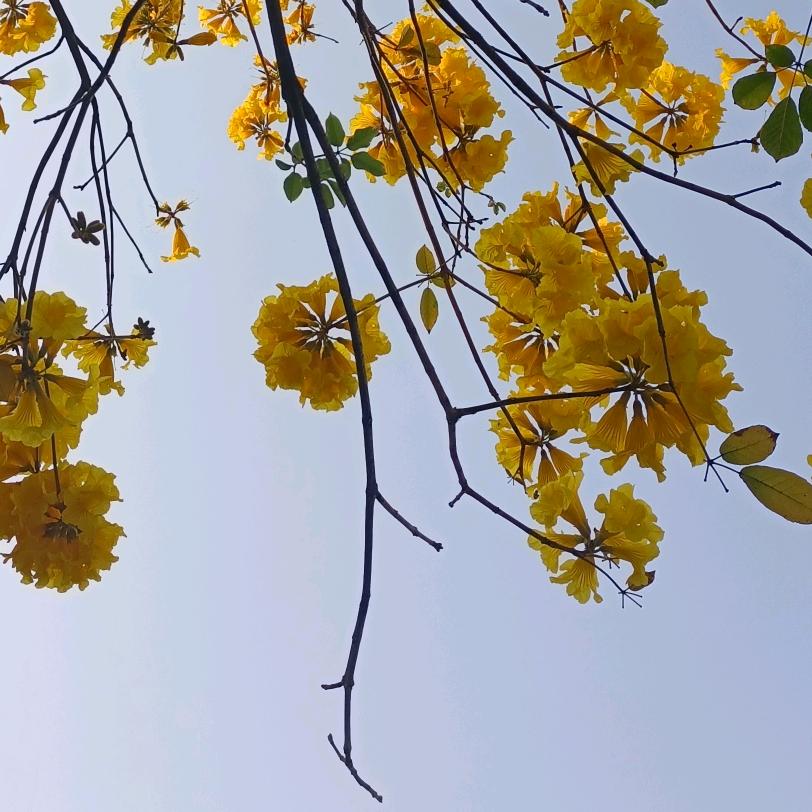 新的开始@新的生活