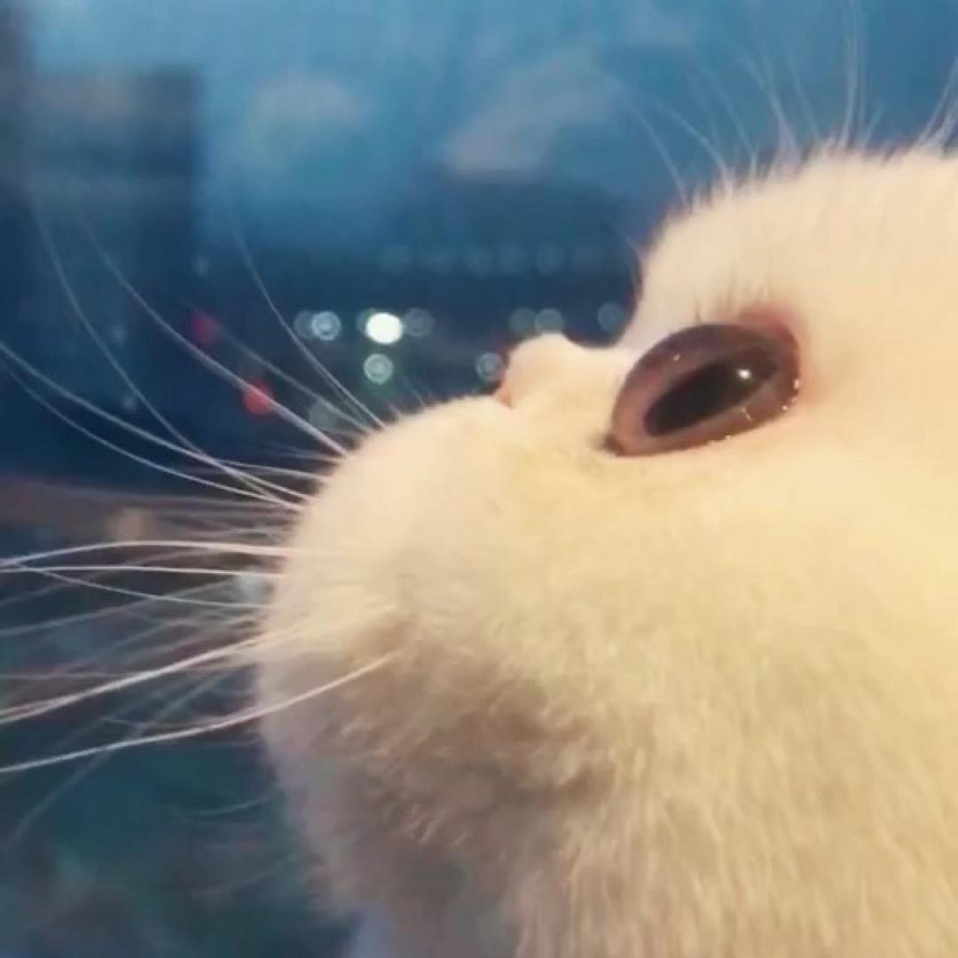 小朋友你是否有太多的问号☀️