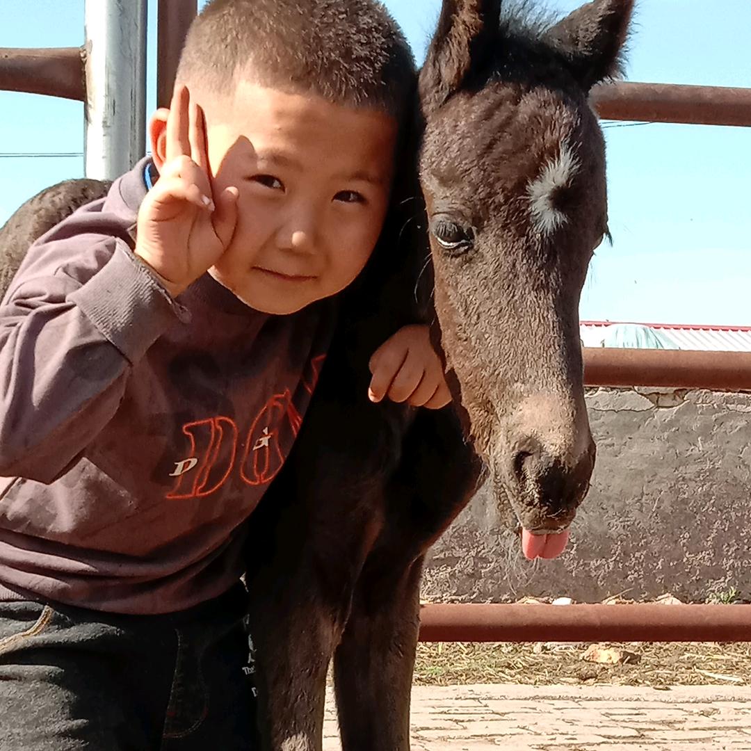 赛尔斯叶尼·胡尔玛尼汗