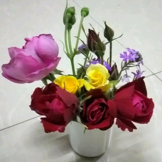 花开富贵