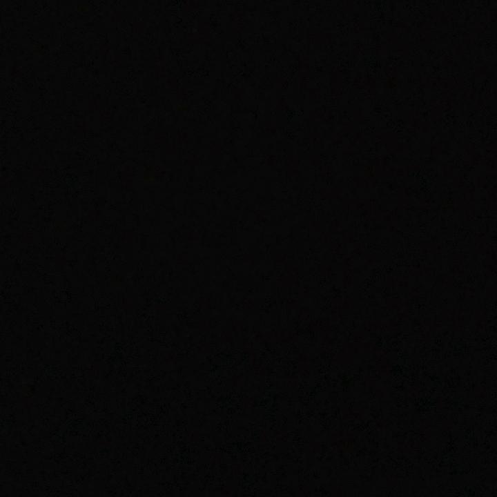 行动