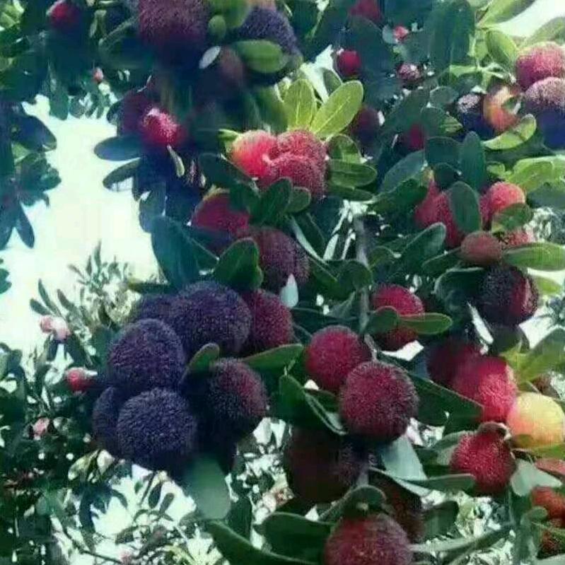 用户4765471884799美丽人生