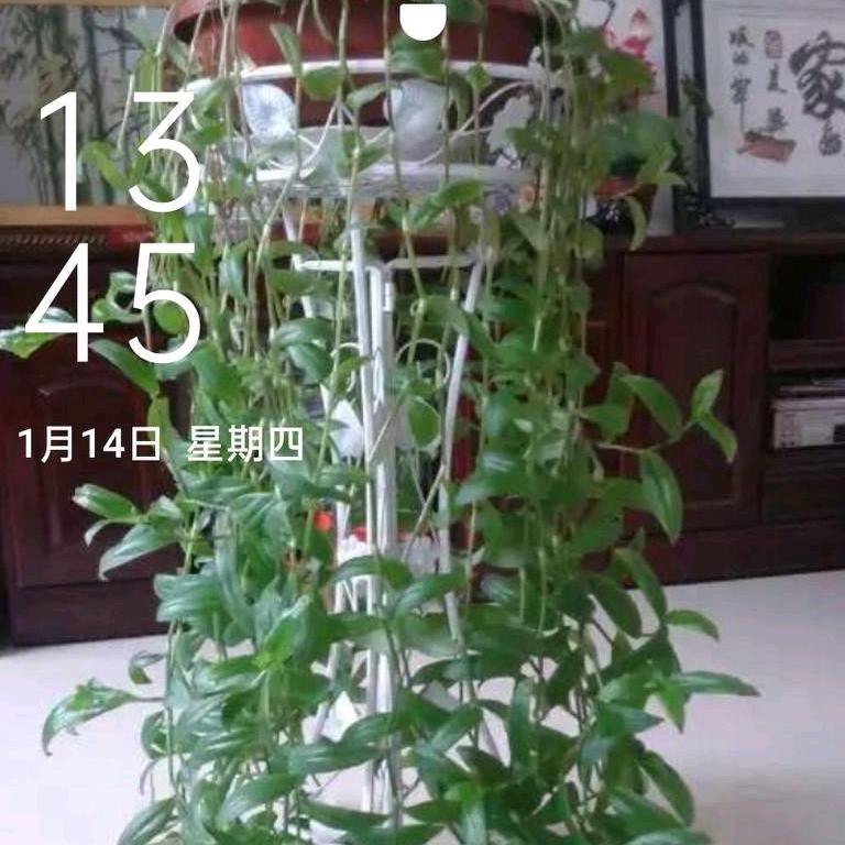 缘在深秋