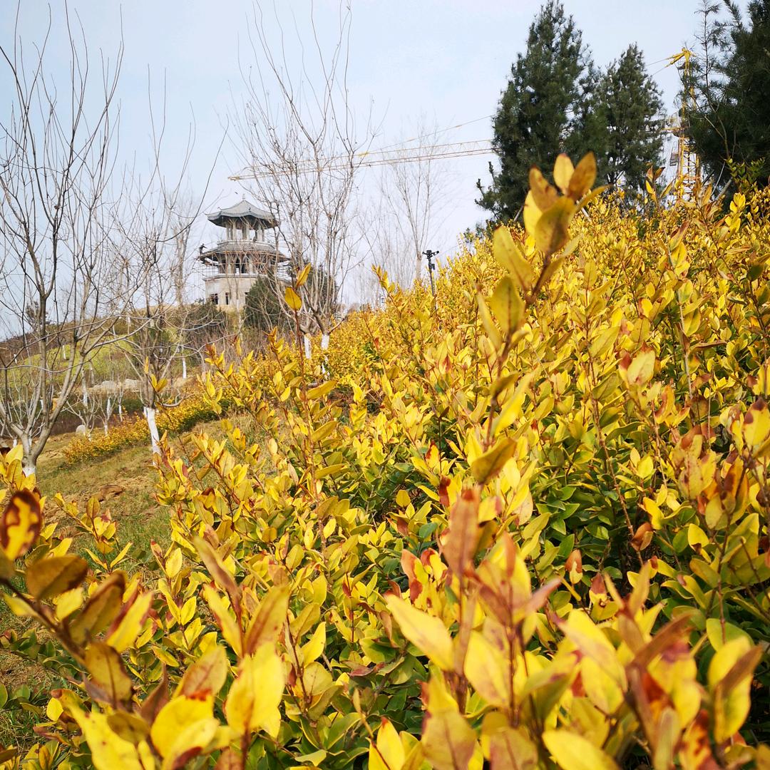 平平静静