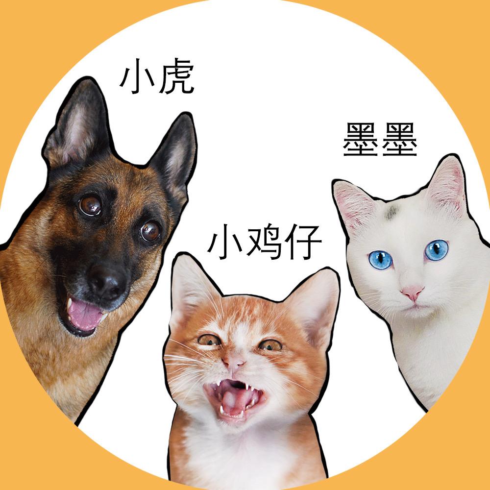 我不是小鸡仔