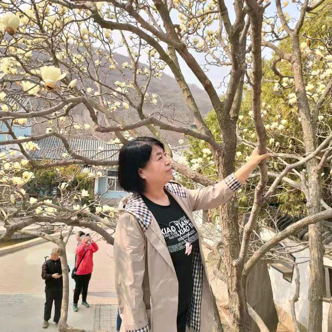 紫霞