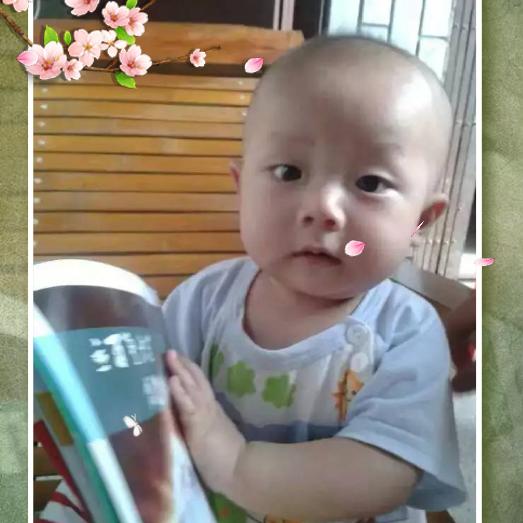 曾（蒸）日上🌹