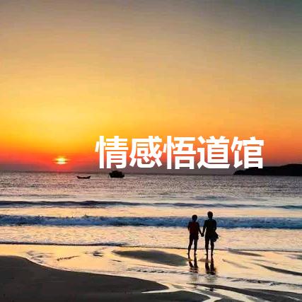 情感悟道馆