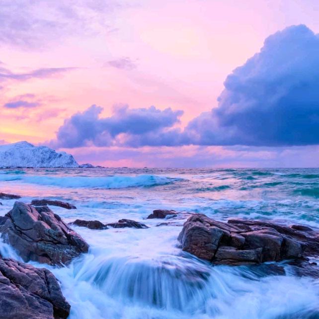 明月湖休闲钓场