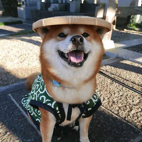苏三里