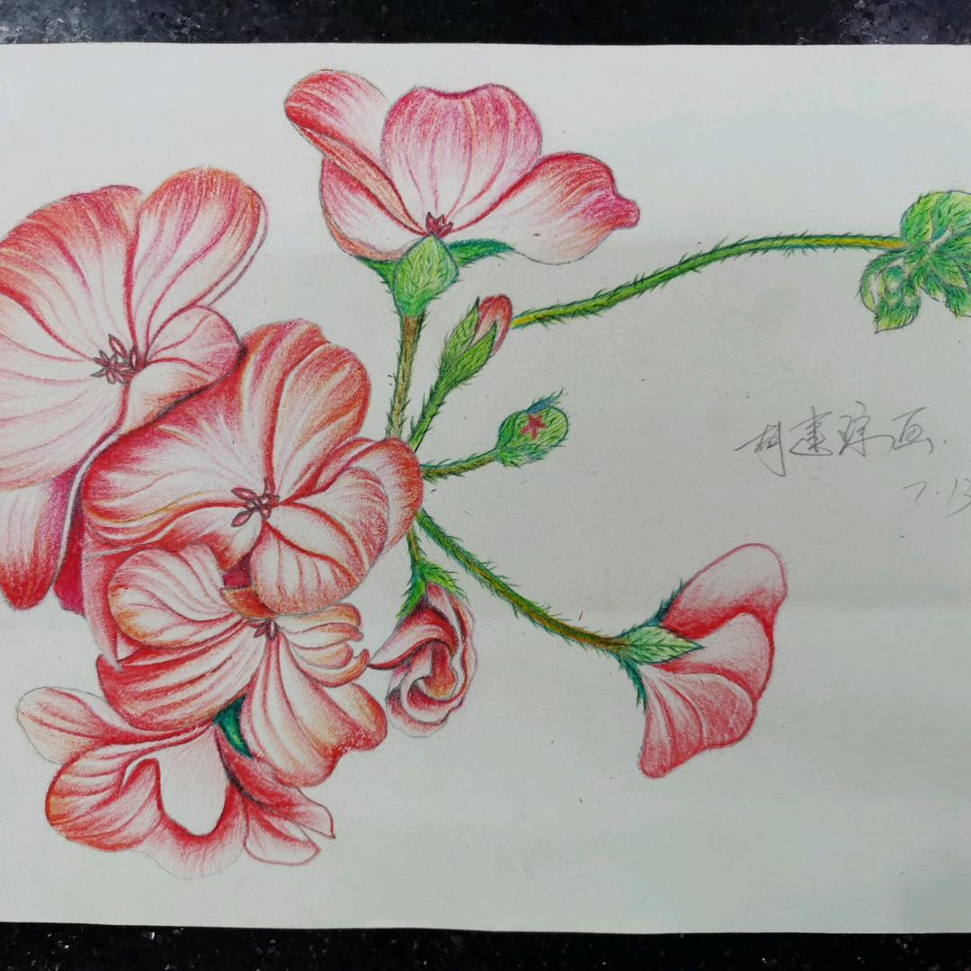 数理化司空老师