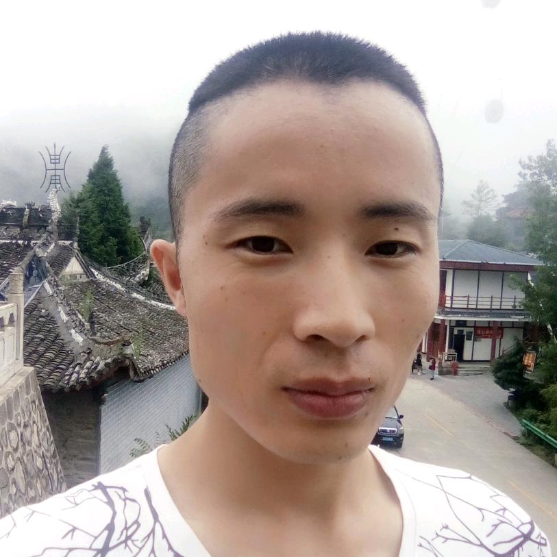 金鱼和木魚