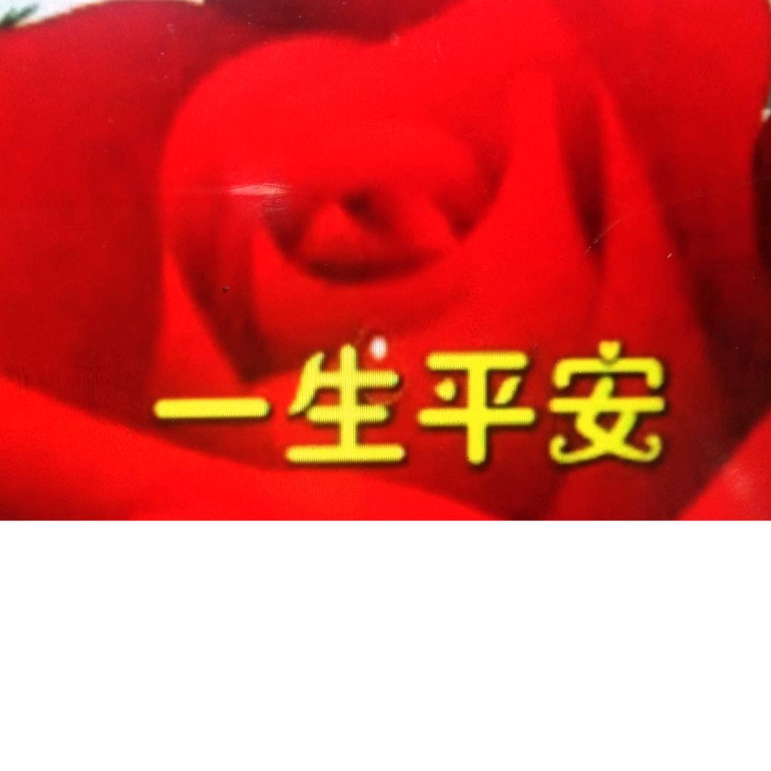 老苏