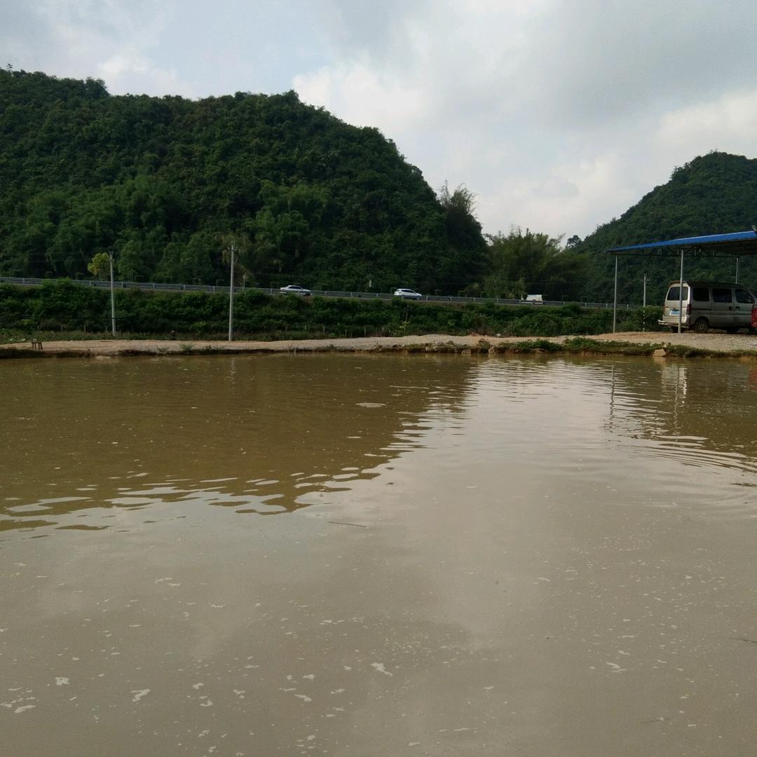 公祖海