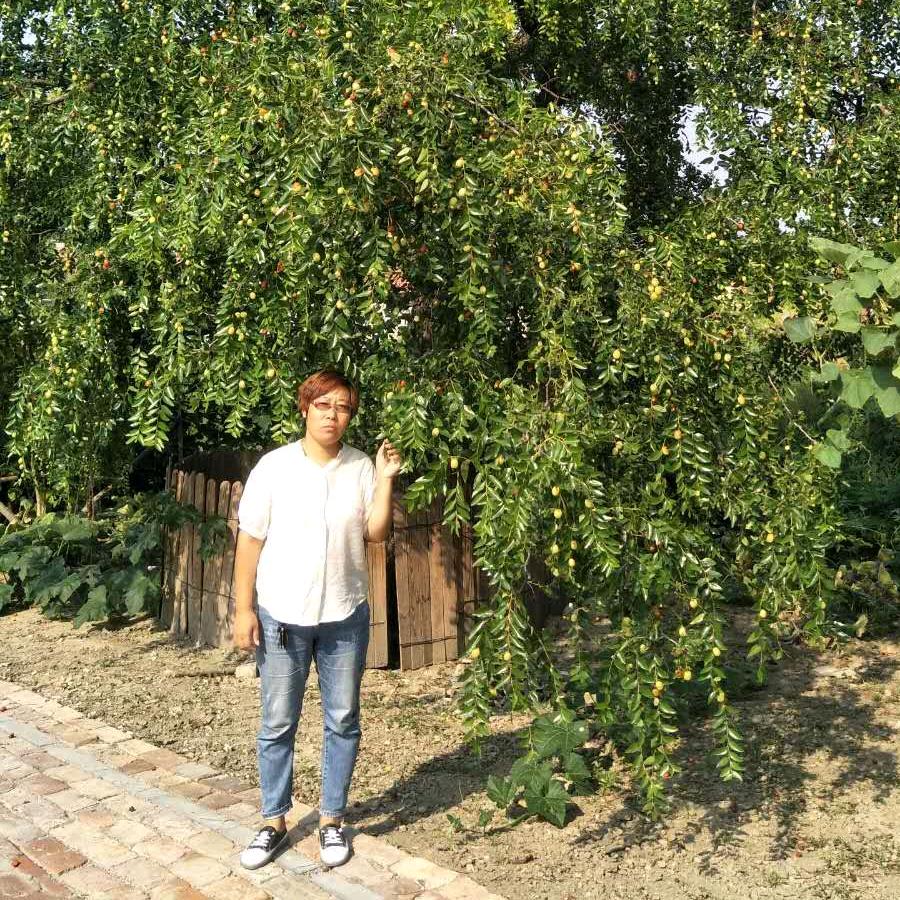 好运来♥正能量♥