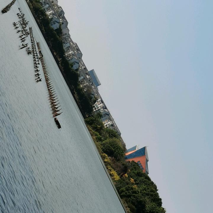 朱远亮