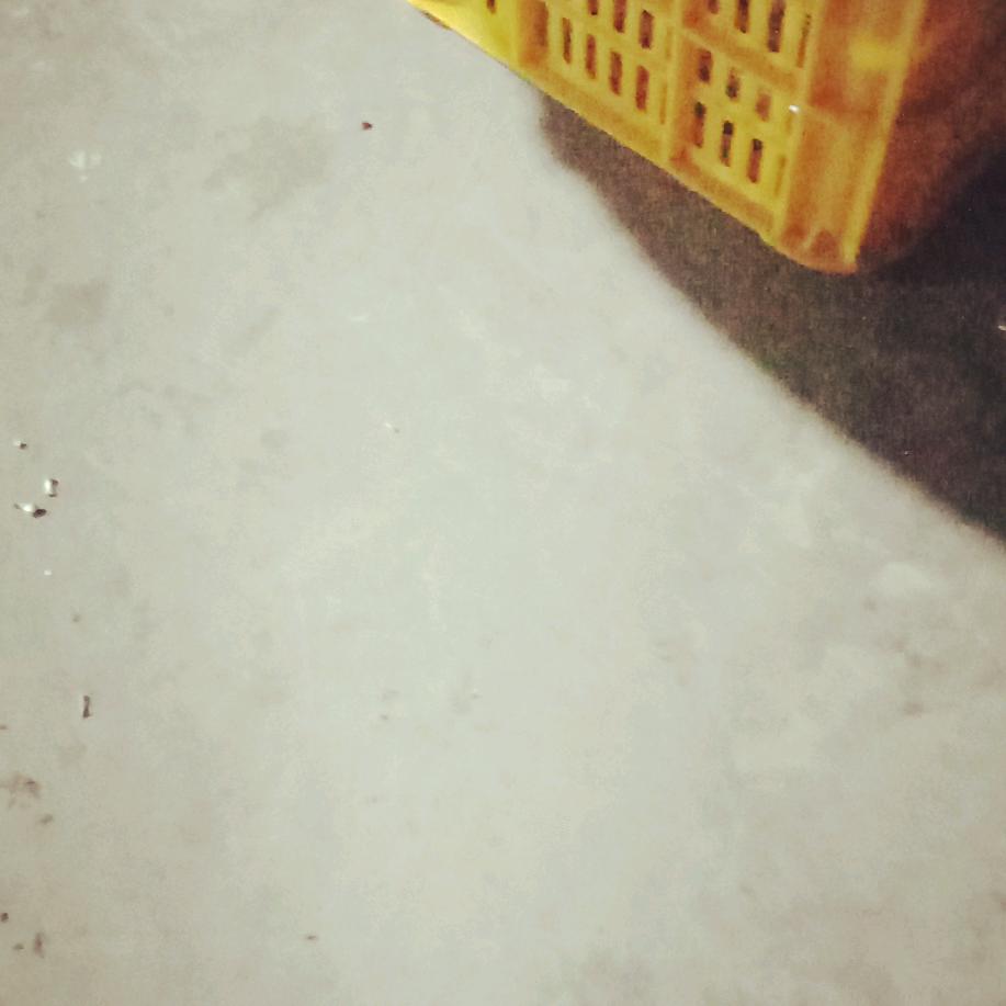用户4280292533004